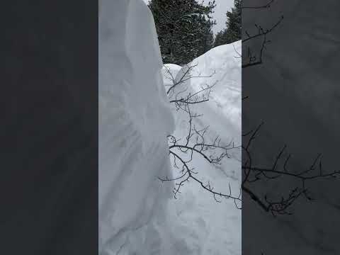 Truckee, CA at 6,000' elevation