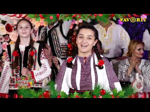 Delia Gandore   Badita i frumos ca bradul