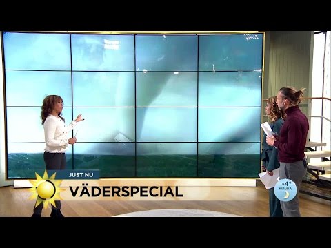 Väderspecial: "Haima är en riktig supertyfon" - Nyhetsmorgon (TV4)