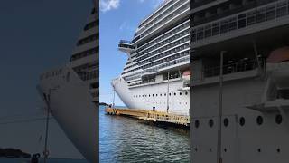 🫷DO YOU WAIT FOR END???  For Cruise Ship Lover😃🚢 #viewersloverviews #shorts #cruise #cruiseship