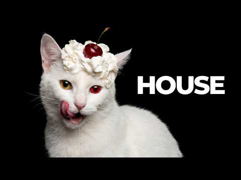 Cherry Trouble | Bassline House Mix