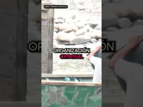 Pol1c1as y 3xfisc4l ambiental están involucrados con la minería ilegal