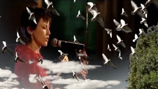 Never Grow Old Music Video (The Cranberries, Wake Up And Smell The Coffee Album)