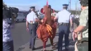 [ Greenpeace ] Iron Savior - Break the course