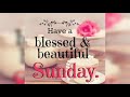 Happy Sunday Status Happy Sunday WhatsApp Status Video
