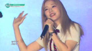 160805 플래쉬(FlaShe) - My Day #착한콘서트 #수원 #화성행궁