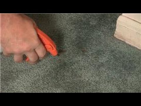 Carpet Cleaning : How to Remove Dry Blood Stains in Carpet