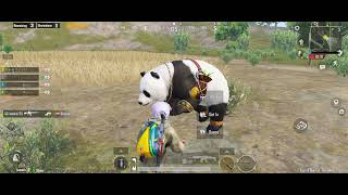 pubg panda love it #animalsounds #anime #youtube#viralvideo