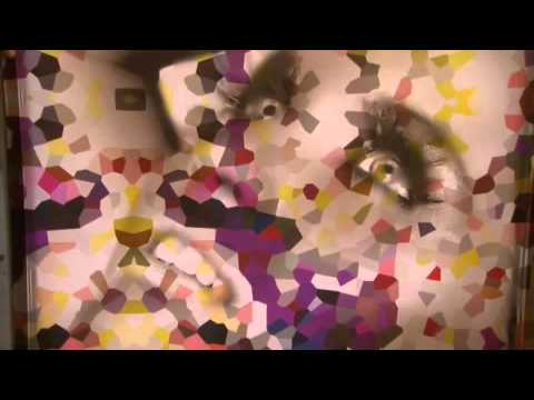 Видеообзор