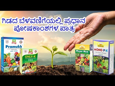Chemical Fertilizers