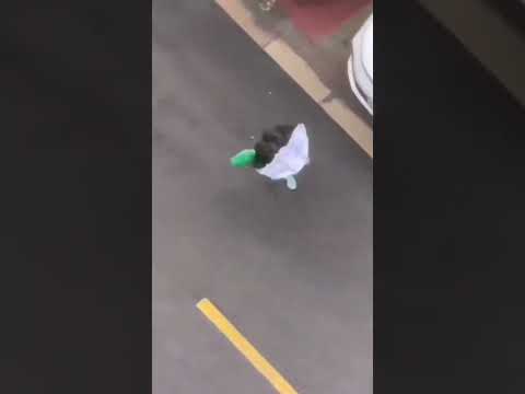 Typhoon Mina has come into being, please be careful when you go out    #Typhoon Mina #Natu   #000e5