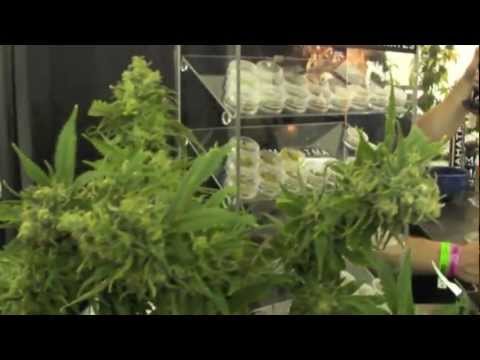 HIGH TIMES MEDICAL MARIJUANA CUP MARLON ASHER 4/20