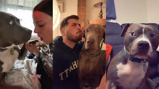 Pretend To Eat Your Dog To See Their Reaction | TikTok Dogs Compilation