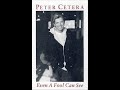 Peter Cetera - Even a Fool Can See (1992) HQ