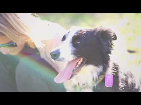 Javiera Acevedo y su lindo perrito usando sus botitas Ruffwear