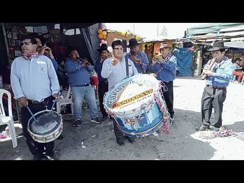 Tarkada Juventud Candarave de Tacna
