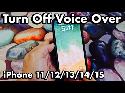 iPhone 11/12/13/14/15: So deaktivieren Sie VOICE OVER (Talk Back)