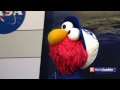 CTTechJunkie Interviews Sesame Street S Elmo