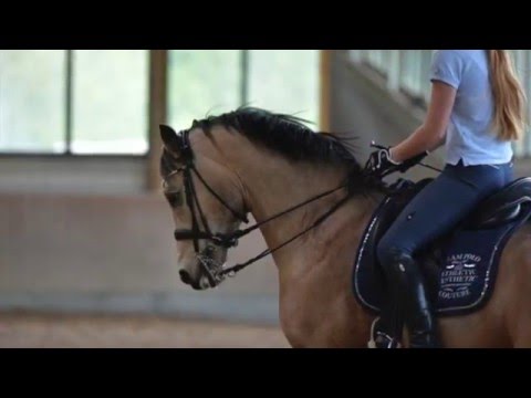 [Training] Wir üben fliegende Wechsel