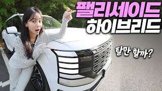 차봤서영 현대 디 올 뉴 팰리세이드