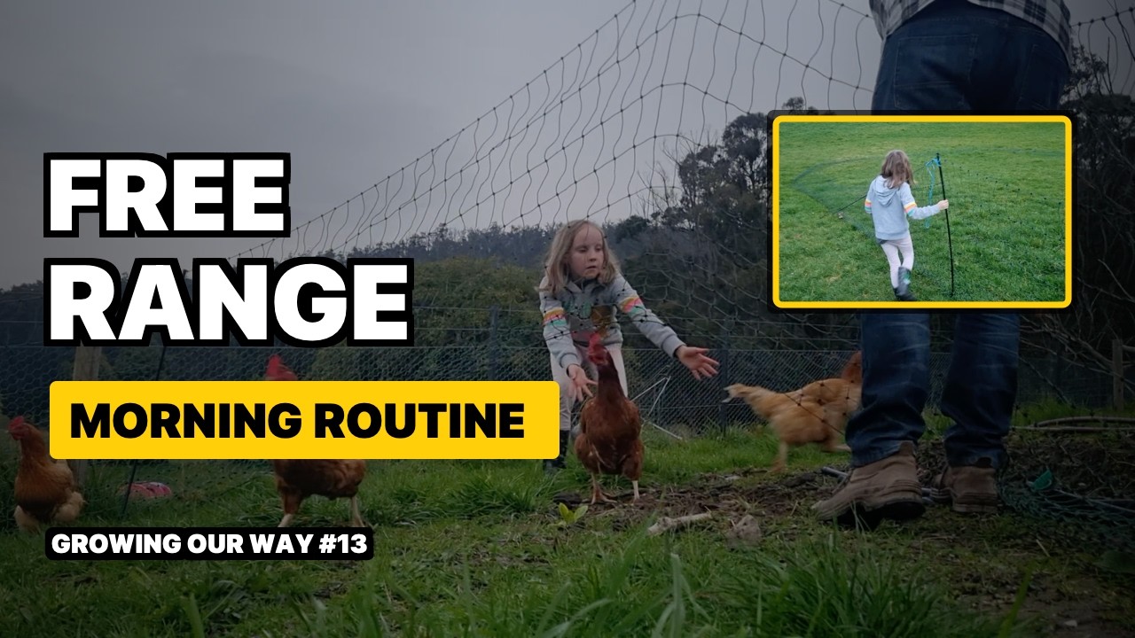 Still from Growing Our Way video 13, chickens free ranging around poultry netting on the homestead