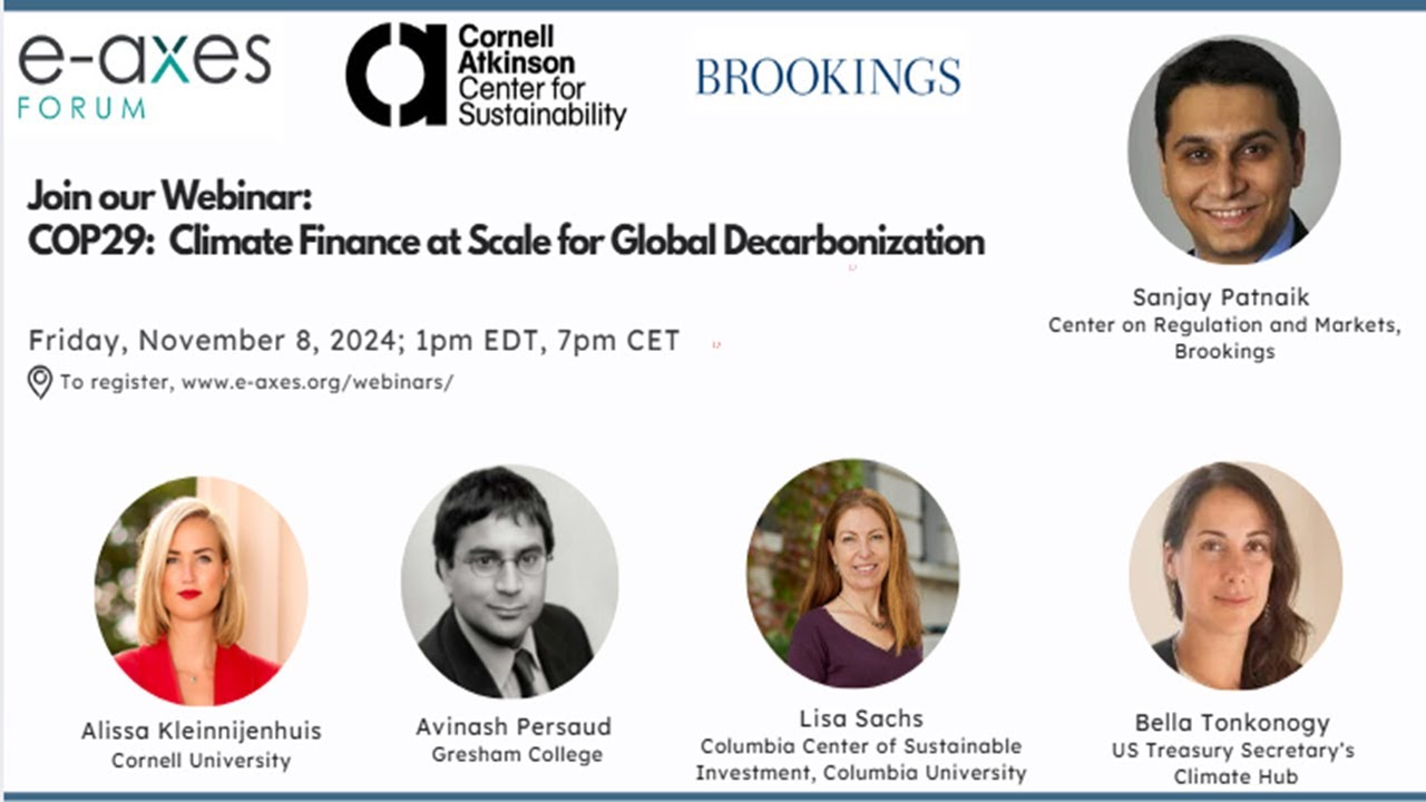 COP29: Climate Finance at Scale for Global Decarbonization