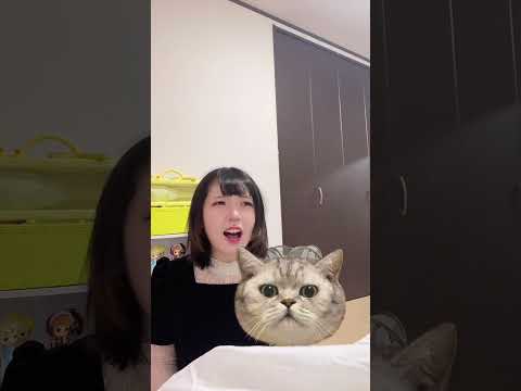 テンポのいいYouTube動画編集します イメージ1