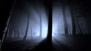 Edgar Allan Poe: Spirits of the Dead (read by Roy Macready)