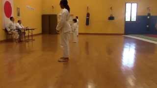 preview picture of video 'Passage de grade :  kata  Heian shodan'