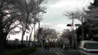 preview picture of video 'DELICA D:5の車載カメラで多摩川住宅の桜並木'