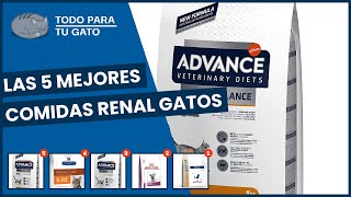 Las 5 mejores comidas renal gatos