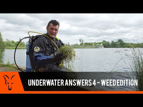 ***CARP FISHING TV*** Underwater Answers 4 - Weed Edition