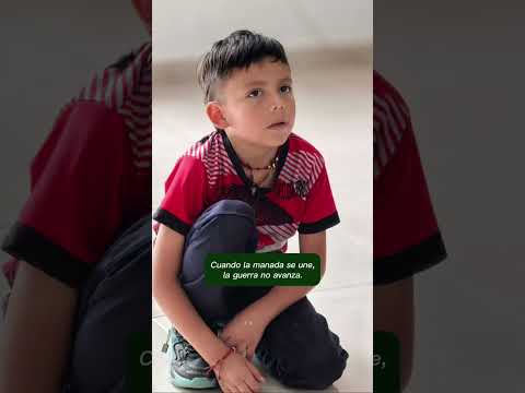 12/02  California se une al mundo para alzar la voz en el Día Internacional de las Manos Rojas.