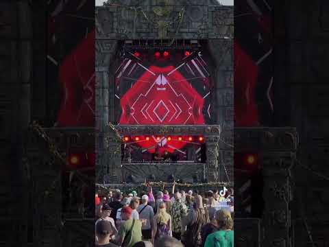 Furious Freaks @ LIR 2022 Temple Stage (OUT 16/2/2023) #drumandbass #music #festival #fyp #foryou