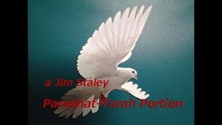 40 Parashat Balak - Jim Staley