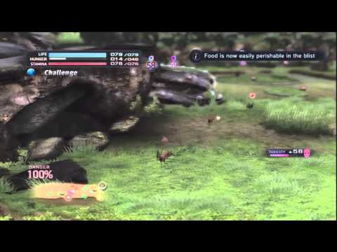 Tokyo Jungle Survival Episode 37 - Happy New Year + 500 subs!