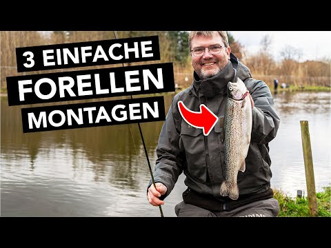Forellenangeln für Anfänger: Mit diesen 3 Top-Montagen fängt JEDER! 🎣