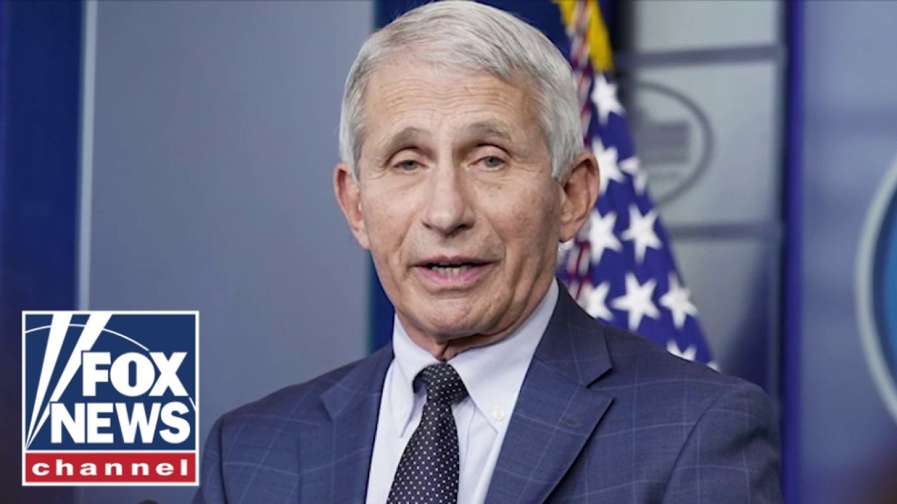 Here's why Fauci should get IMMUNITY: Paul Mauro