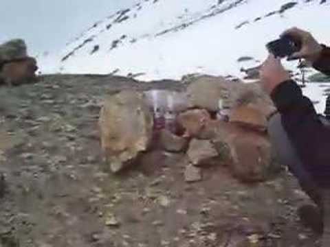 Sad Smoky Mountains -Cima Nera