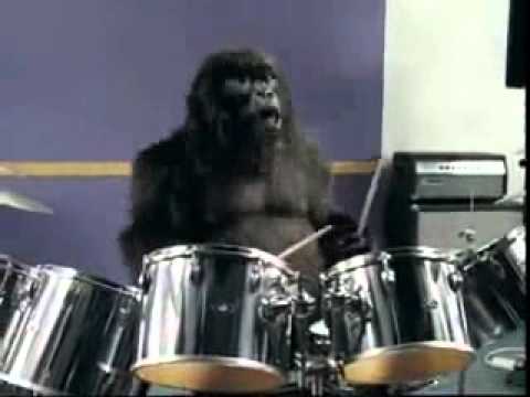 Gorilla TV advert - In The Air Tonight -