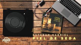 Esteban Gabriel - Piel de Seda Acordes - Chordify