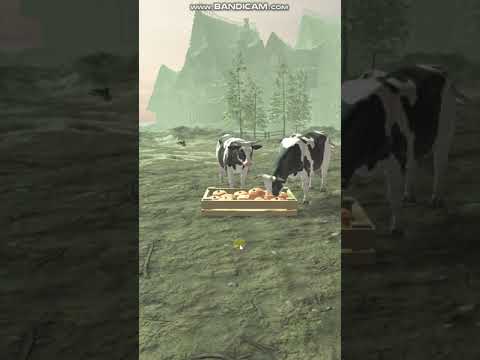 Cower video thumbnail