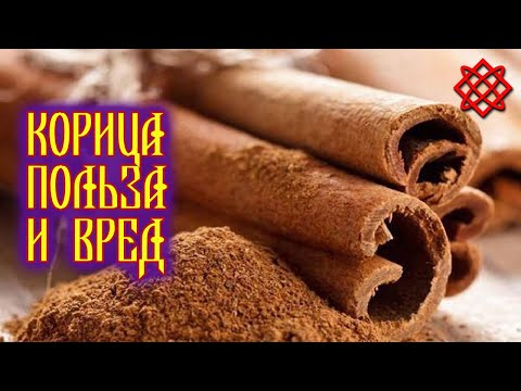 Корица польза и вред. Целительные Свойства Корицы и Противопоказания