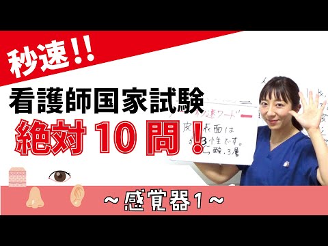 看護学科 【秒速ナース】感覚器1 皮膚の構造【国試対策-授業動画】