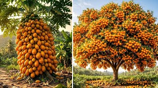10 Árvores Que Produzem TANTAS FRUTAS Que Você Não Vai Acreditar (Parte 2)