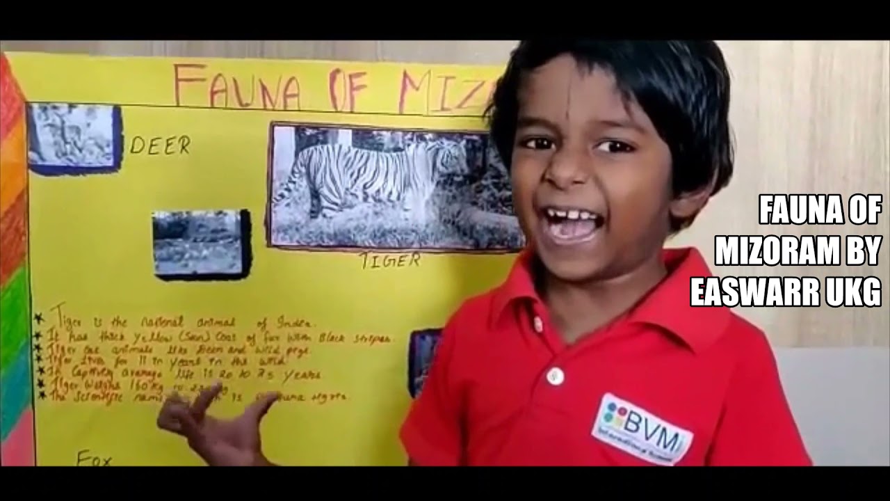 #Early years#Flora and Fauna of North eastern states