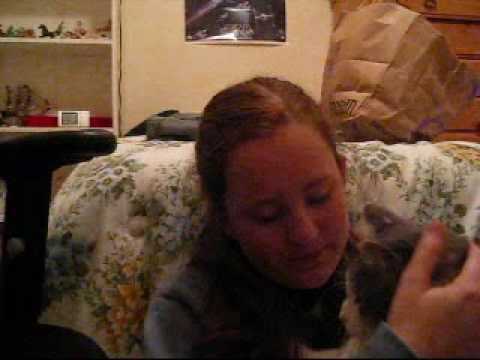 11-19: Beware of Cat