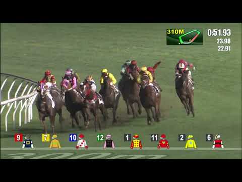 11/5/2022 (662) Astrologer -  L Hewitson