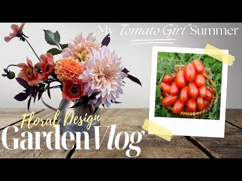 Dahlia Centerpiece and Harvesting Lots of Roma Tomatoes🍅