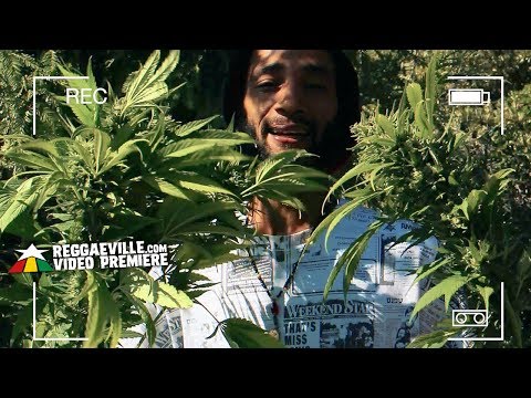 Ras Indio - Legalize It [Official Video 2018]